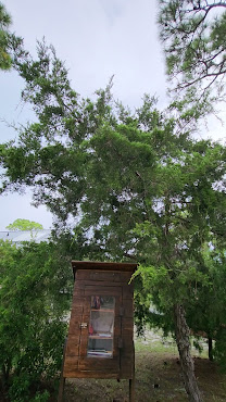 Saint George Island State Campground by null