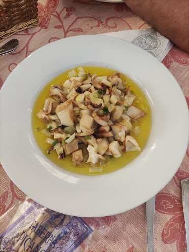 Taberna Picano - Visual