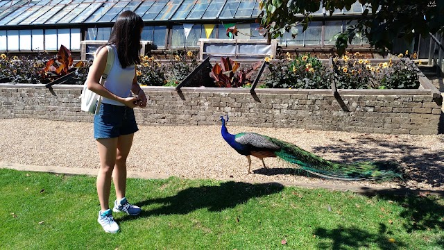 Groombridge Place