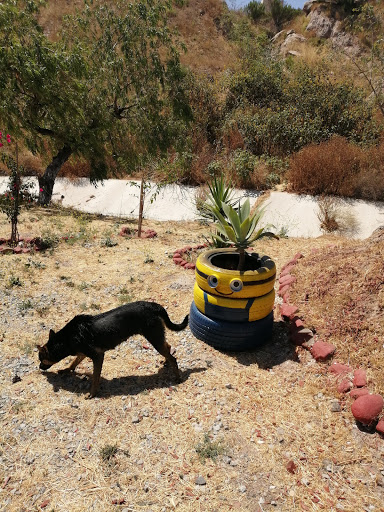 Area verde San Agustín - Thumbnail