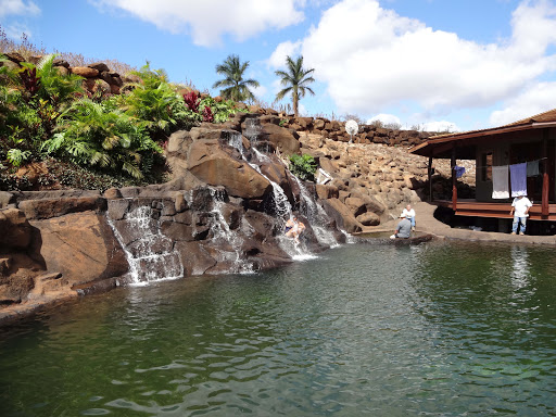 Avatar for Dumore Construction & Remodeling