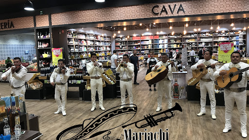 MARIACHI TEQUILA COYOACAN CDMX-MARIACHIS DE LA CDMX