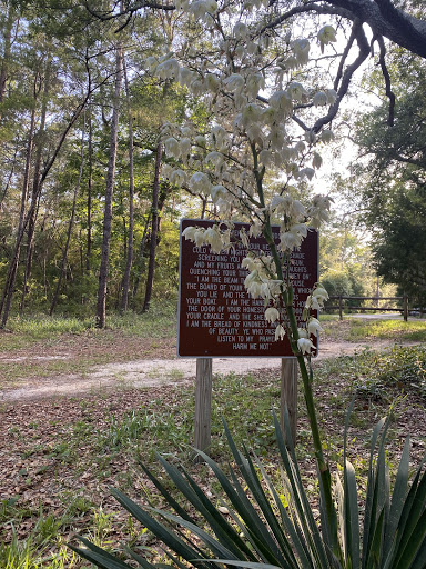 Rocky Bayou State Park Aquatic Preserve - Thumbnail