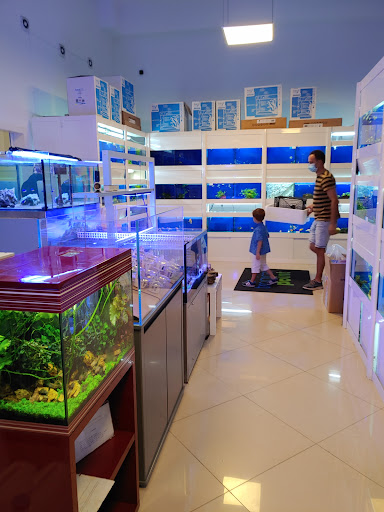 Tropical Point Dottor Fish - Thumbnail