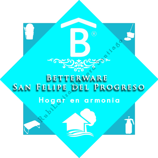 Betterware San Felipe del Progreso