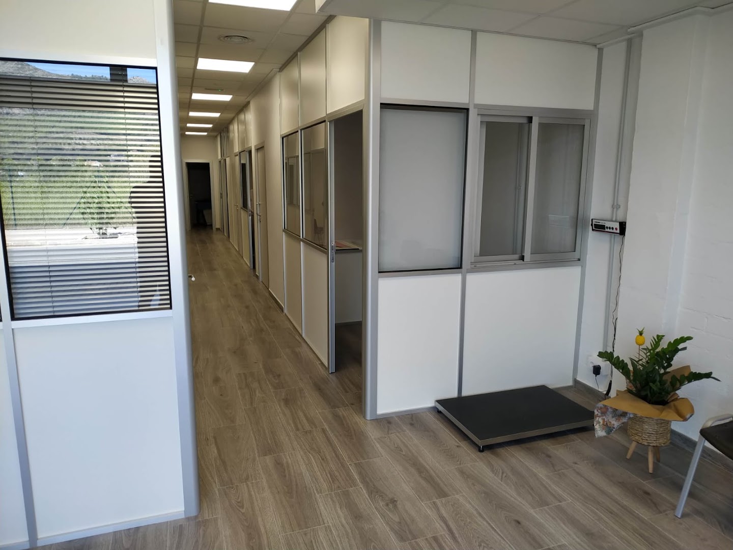 Clinica Veterinaria Animals