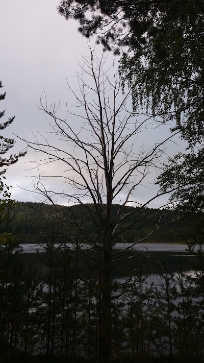 Photos of Loma-Koli