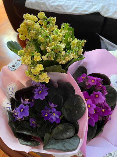 Flores May - Visual