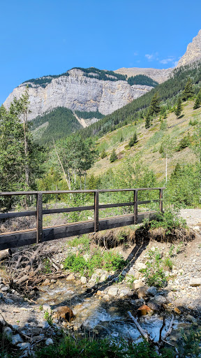 Aylmer Pass Junction Campground - Thumbnail