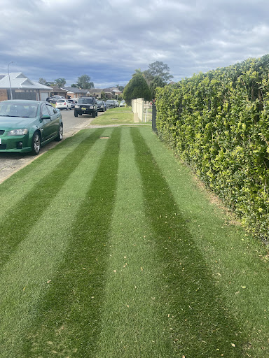advanced lawns and gardens