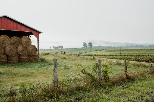 Visit McMinnville, TN Gallery - United States