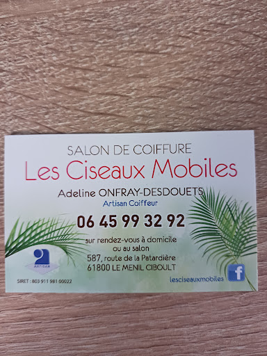Les Ciseaux Mobiles - Thumbnail