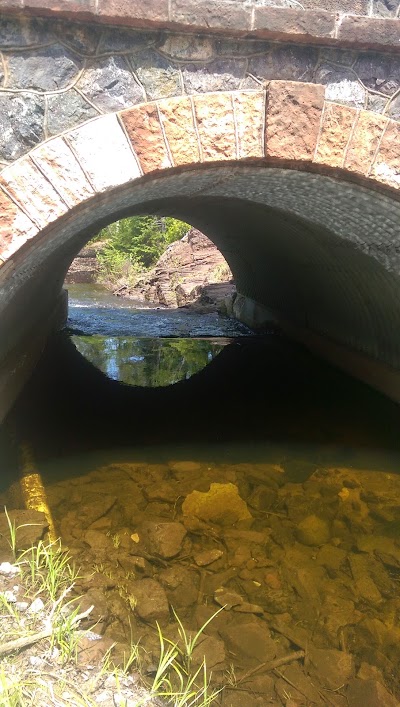 Photos of Lake Bailey Wildlife Sanctuary