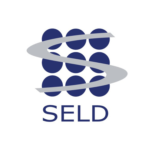 Studio Seld - Visual