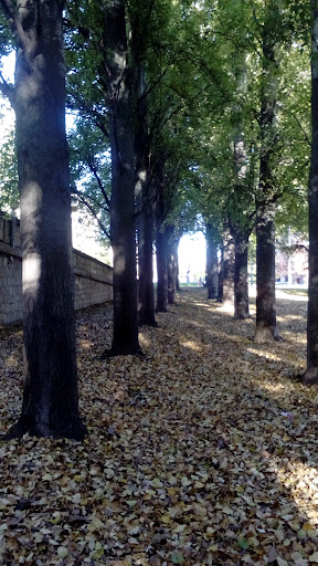 Sofia Public School Tartilan - Visual