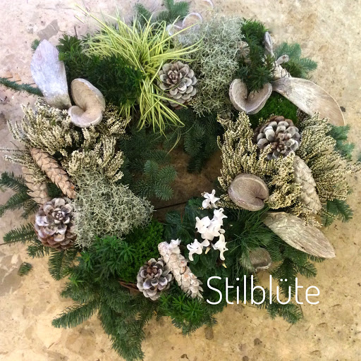 Stilblüte / Blumen Derichs - Thumbnail