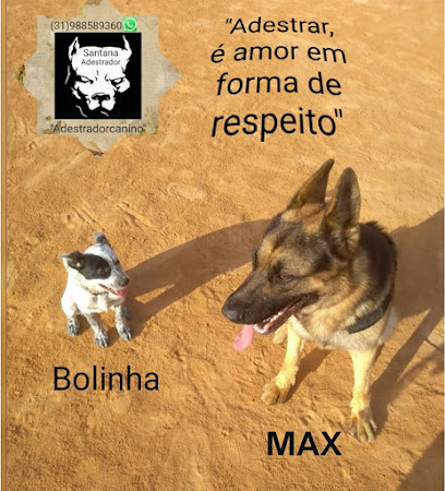 Adestrador canino(Santana).