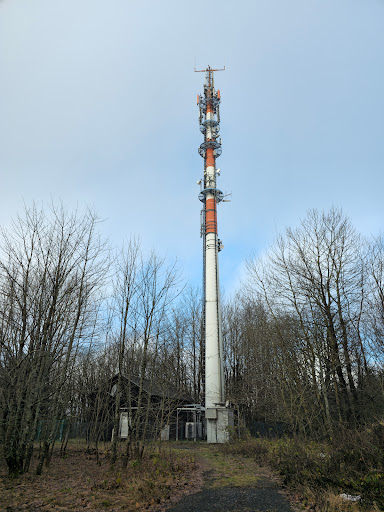 Gleichberge - Visual