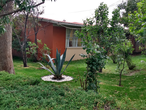 Lic. Lombardo Toledano Gallery - Mexico