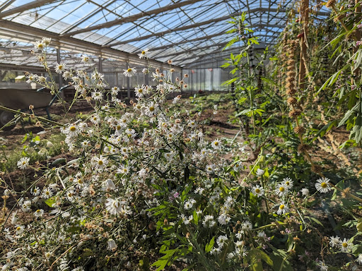 Biogärtnerei am Schlossberg Gallery - Germany