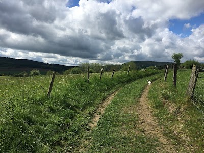 Photos of Vakantiehuis Le R&ecirc;ve du Sanglier & Vakantiehuis Bisou de la Roche