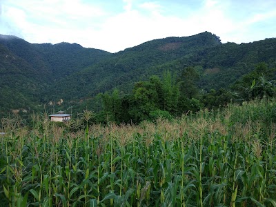 Photos of Chiphung Lhakhang