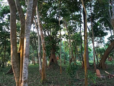 Bussi Island Buikwe District Central Region