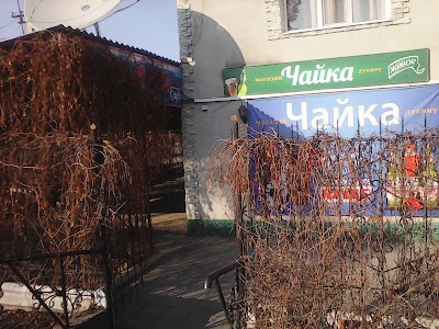 Photos of Chayka Kafe