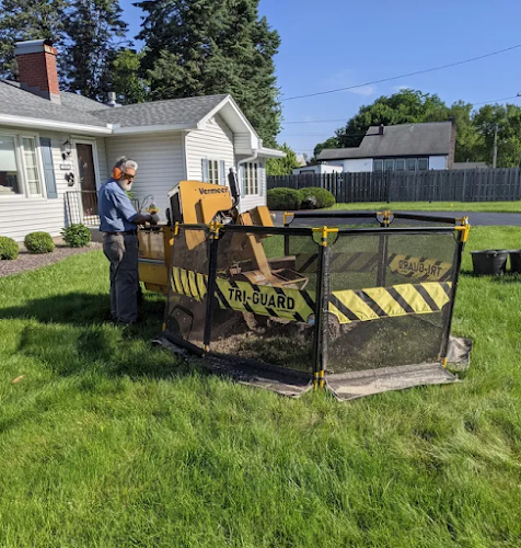David Carlson Stump Removal Plus Inc