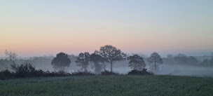 Photo n°18 de L'agneau du Tregor, Ferme de la Bretonnie du Roscoat , lieu dit Kervadeg à Plouzélambre (Producteur de bétail)