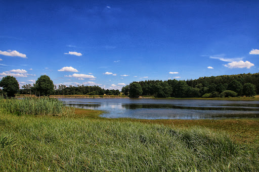Schalksbachteiche - Visual