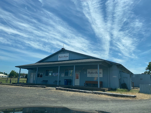 Skydive Oregon Gallery - United States