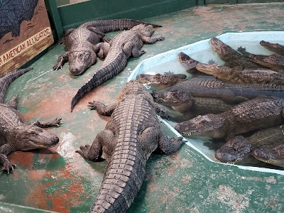 Arkansas Alligator Farm & Petting Zoo