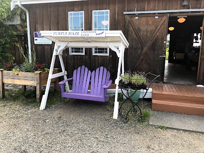 Purple Haze Organic Lavender Farm