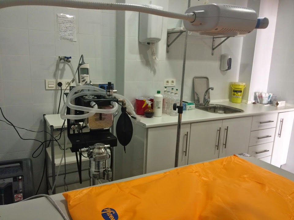 Centro Veterinario Barcia Salud Animal