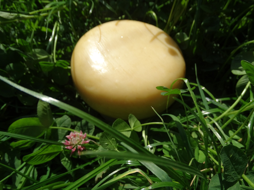 Edama kaas