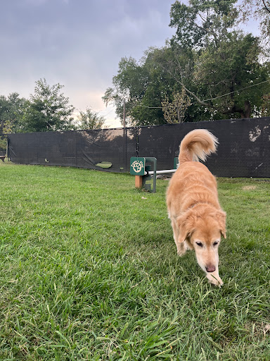 Florence Korostynski Memorial Dog Park - Thumbnail