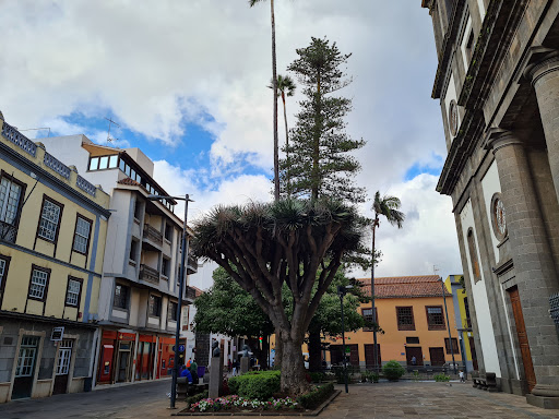Spar Catedral - Thumbnail