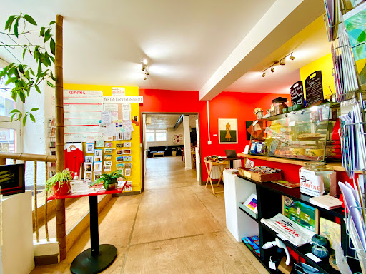 Redwing Gallery - Visual