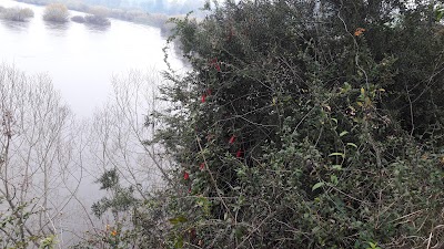Photos of Arnoldo Keim Park