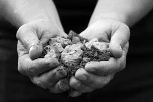 Photo n°10 de Château Font du Broc - Vignoble dans le Var à Les Arcs (Cave à vins)