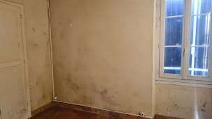 Photo n°25 de Larue Damien à Bellevigne-les-Châteaux (Service de pose de parquet)