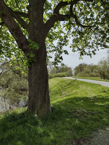 Ortsamt Blockland - Thumbnail