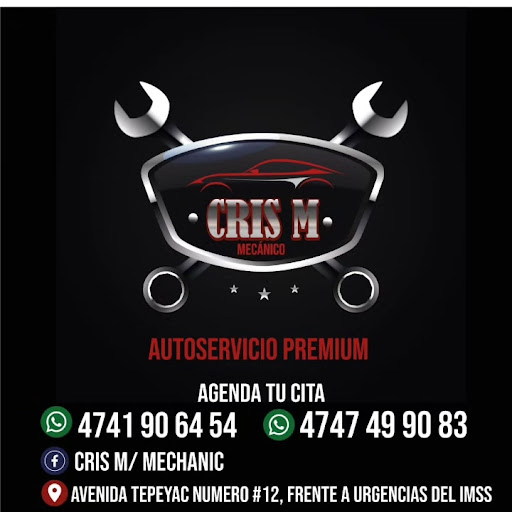 CRIS M /MECHANIC - Thumbnail