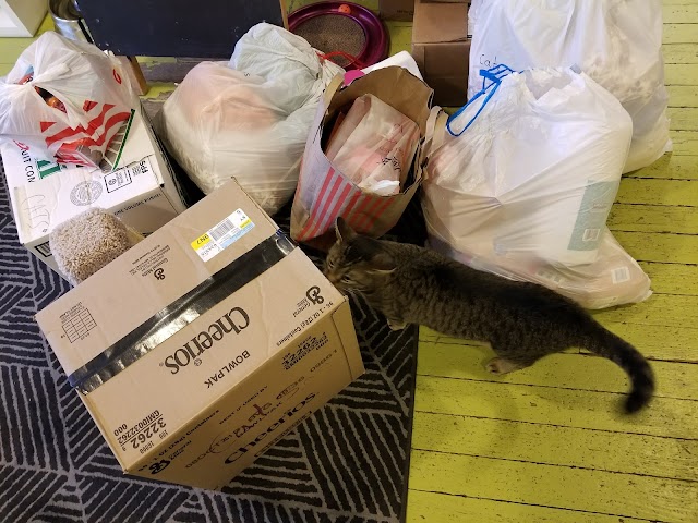 Tenth Life Cat Rescue