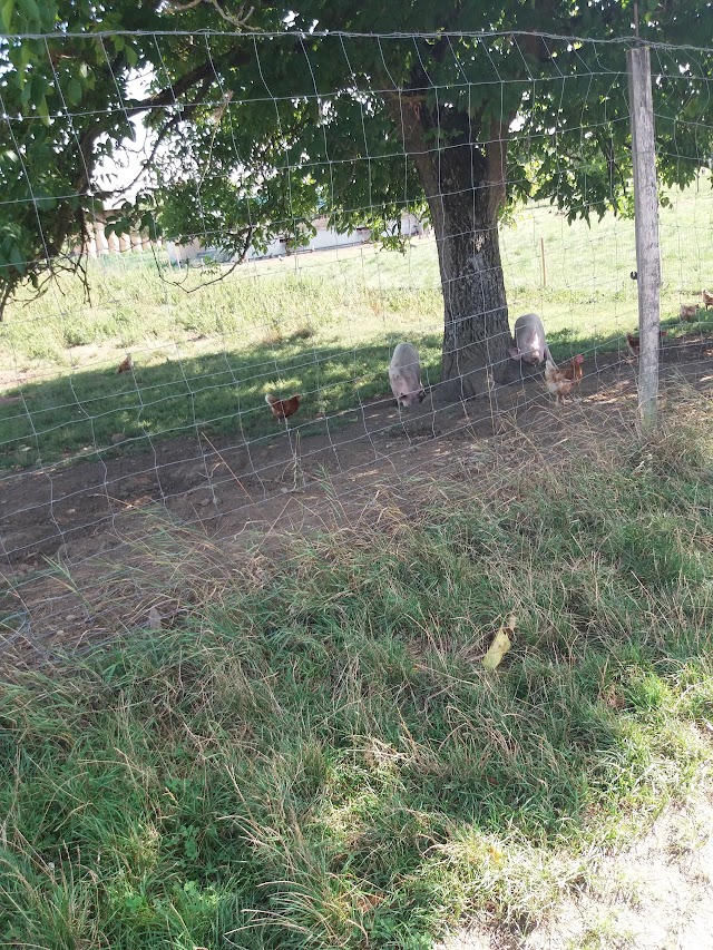 Colline des jeux