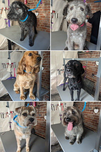 Heritage Hounds Grooming Co