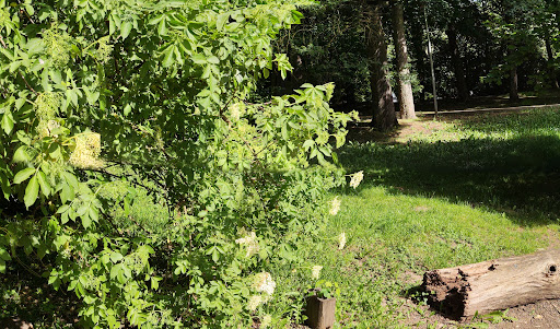 unsere Oase im Stadtpark Saarlouis - Thumbnail
