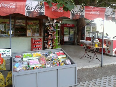 Photos of Ataturk Culture Park Picnic Area