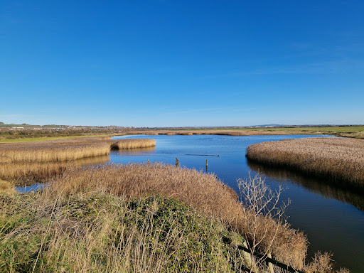 Farlington Marshes Nature Reserve